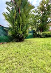 Capitol Park (D11), Detached #581877091